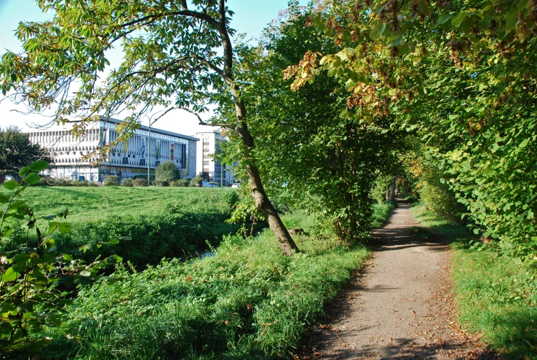 a very long narrow tree lined path near a large building