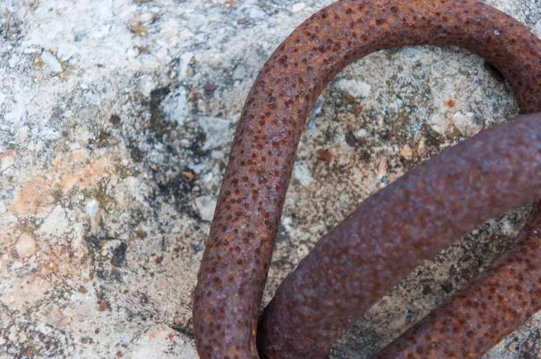 a rusty chain sitting in the middle of a rock