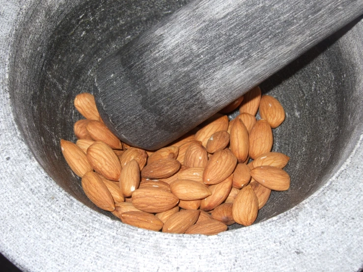 almonds sitting in a trash can in close up