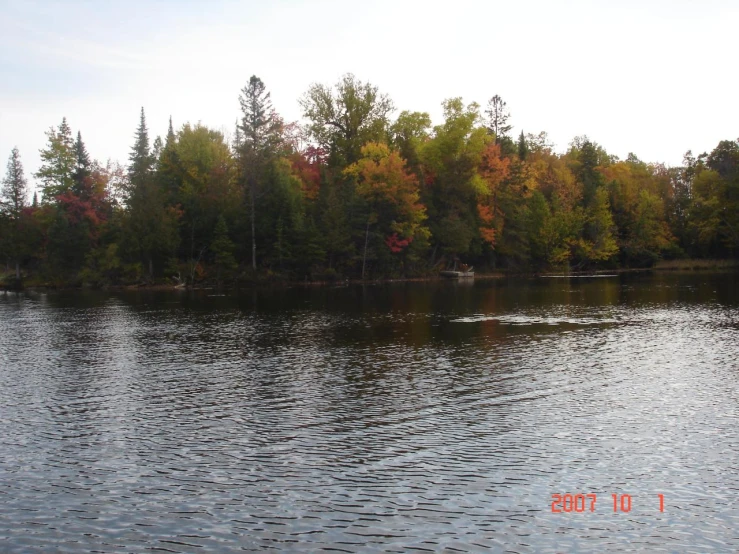 an image of a large body of water surrounded by forest