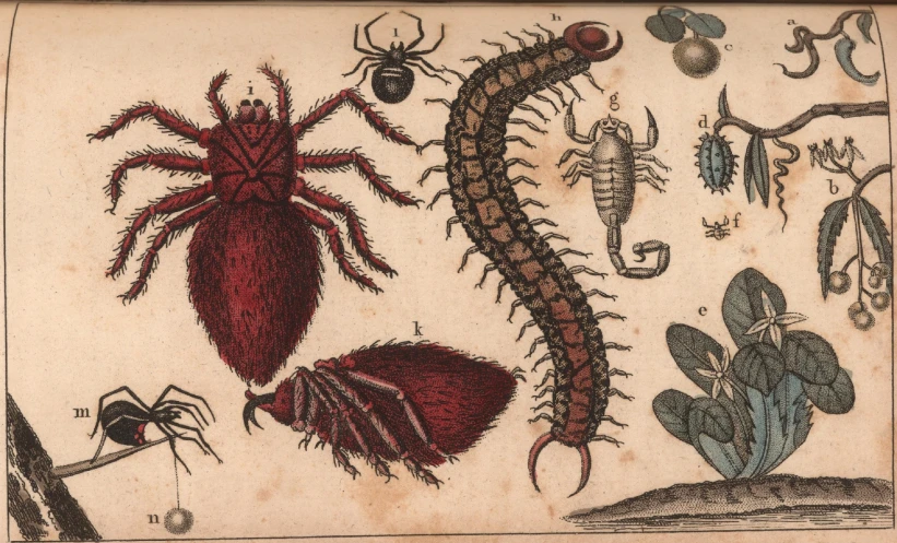 an image of a painting with an insect and other animals on it