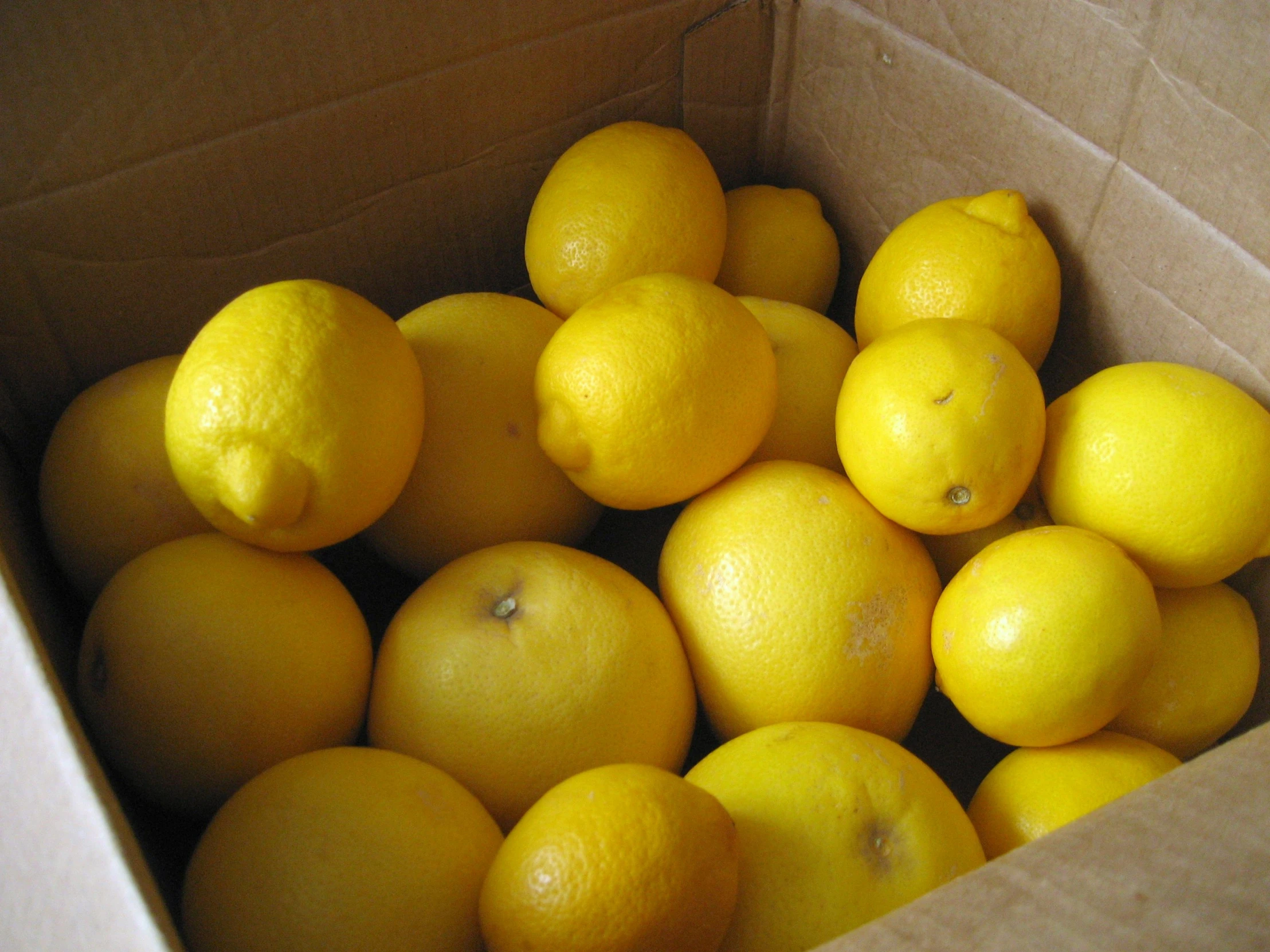 a group of lemons sitting inside of a cardboard box
