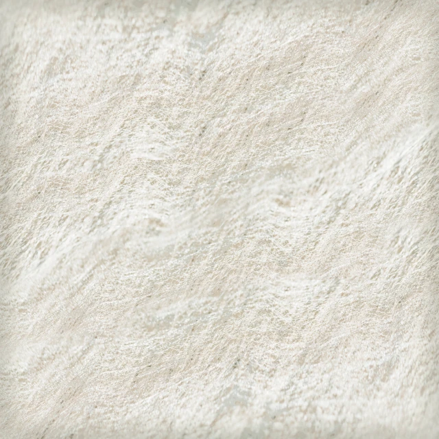 a white po that looks like the wallpaper