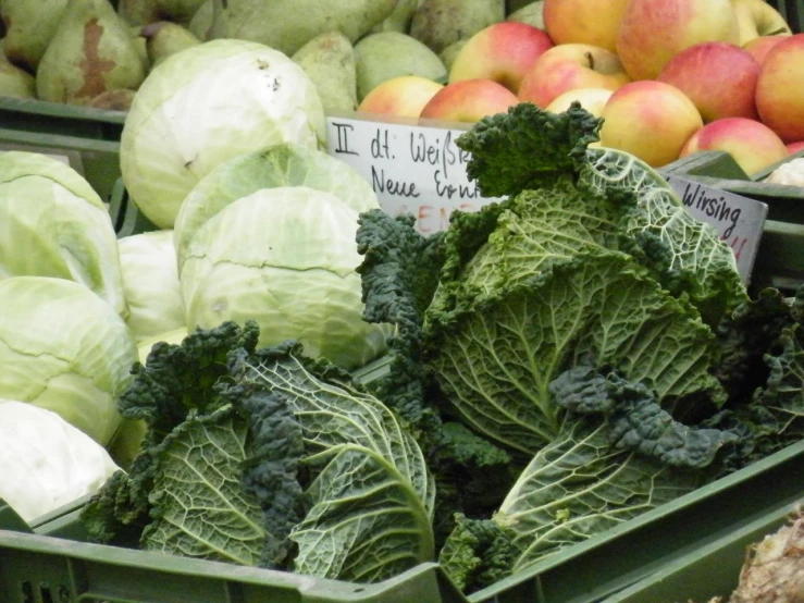 a pile of vegetables in a bin sitting next to some apples