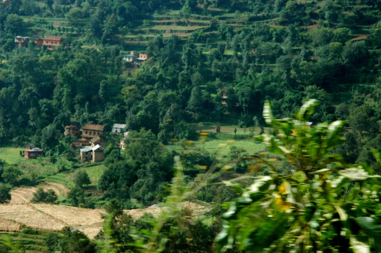 trees, buildings and dirt terraces are among green hills