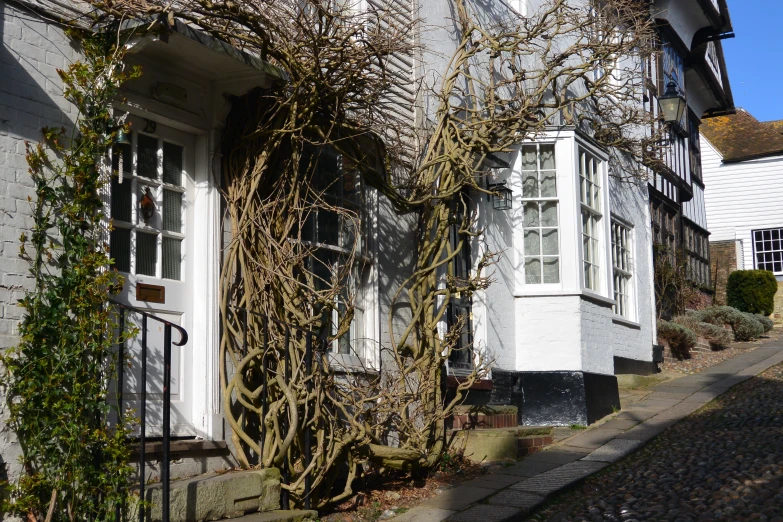 a white house with ivy climbing up a side walk