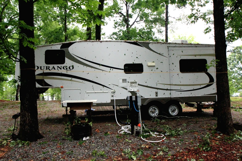 an rv parked near several trees in the forest