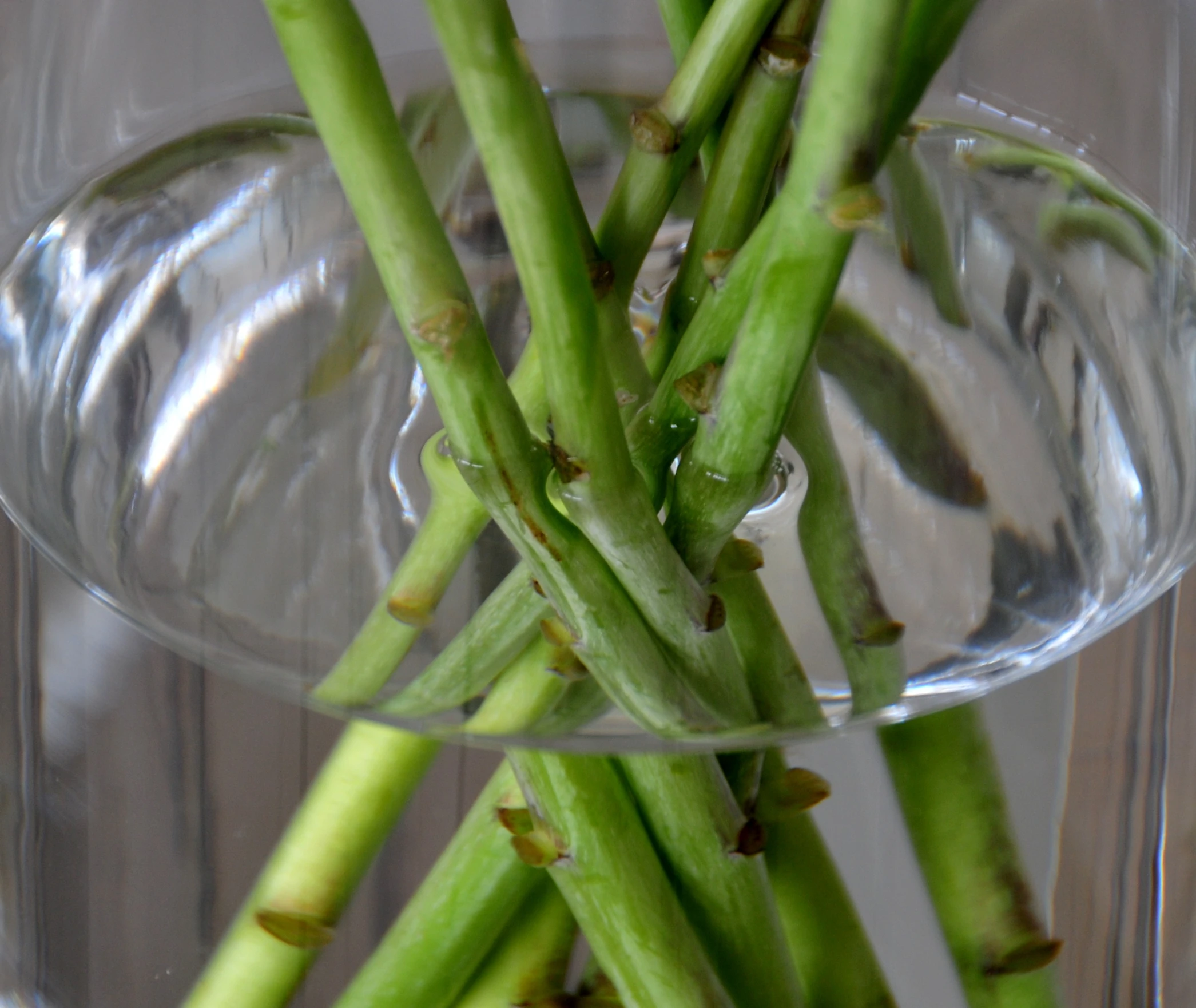 a clear glass bowl filled with asparagus