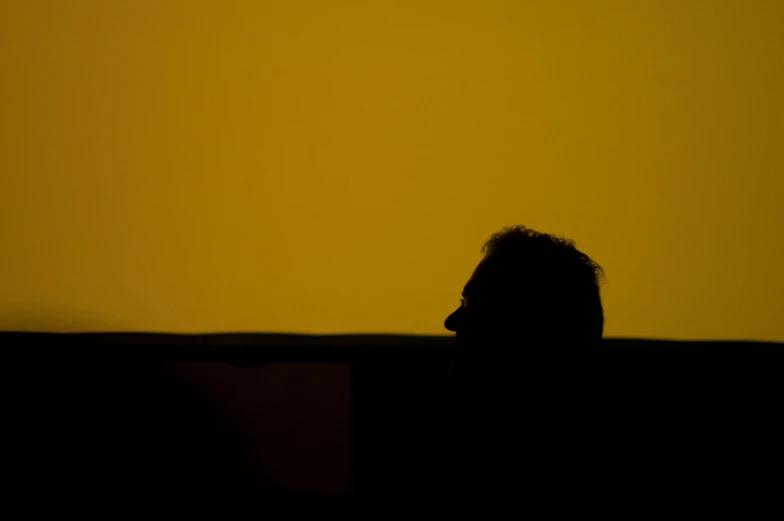 a woman with her hands to the side of her head looking down at a bird in a yellow sky