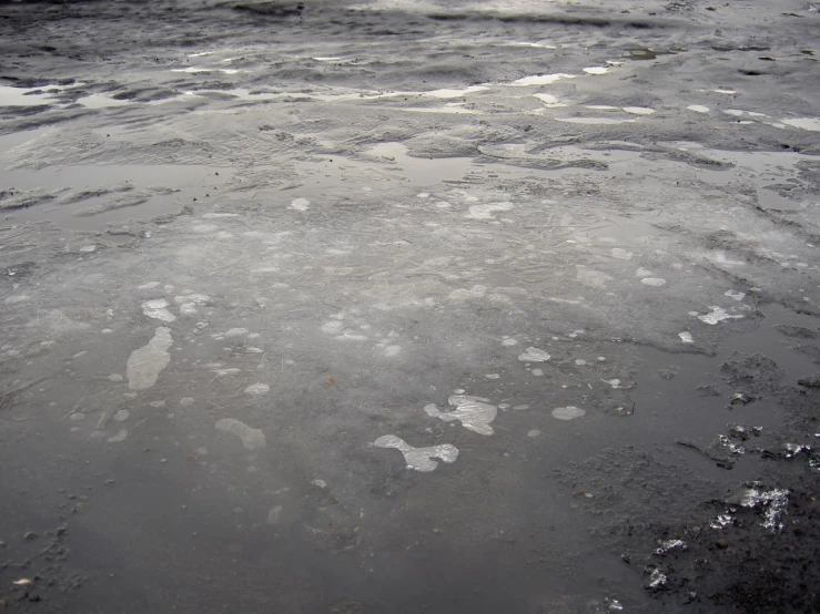 a lot of ice in the middle of water