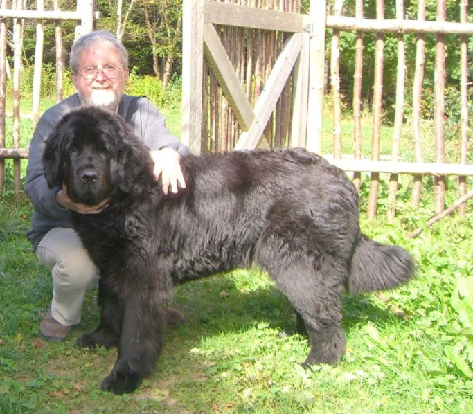 a man kneeling down next to a big black dog