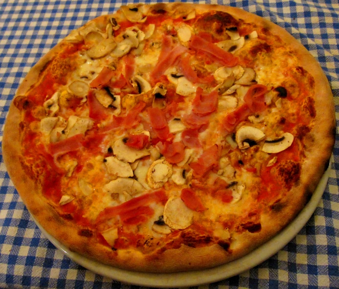 pizza on plate sitting on a table with gingham cloth