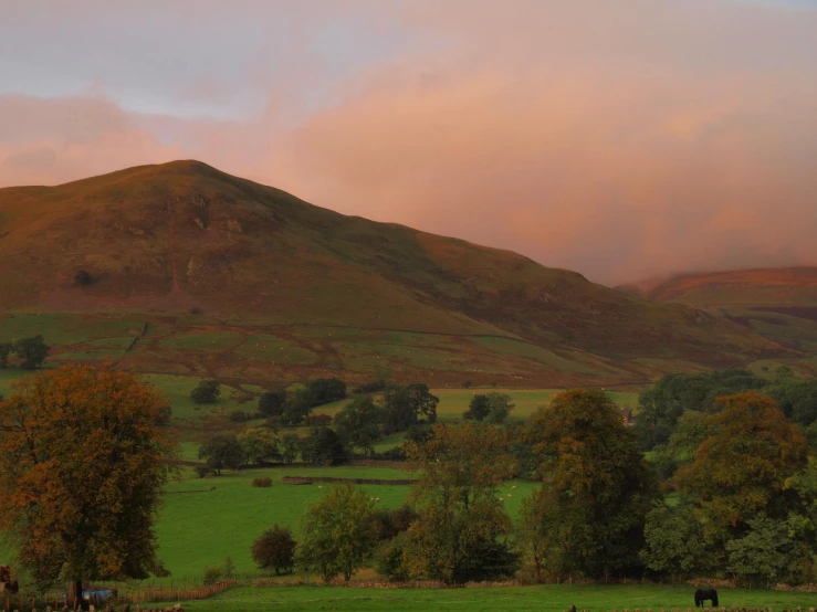 some green trees bushes hills and a large brown hill