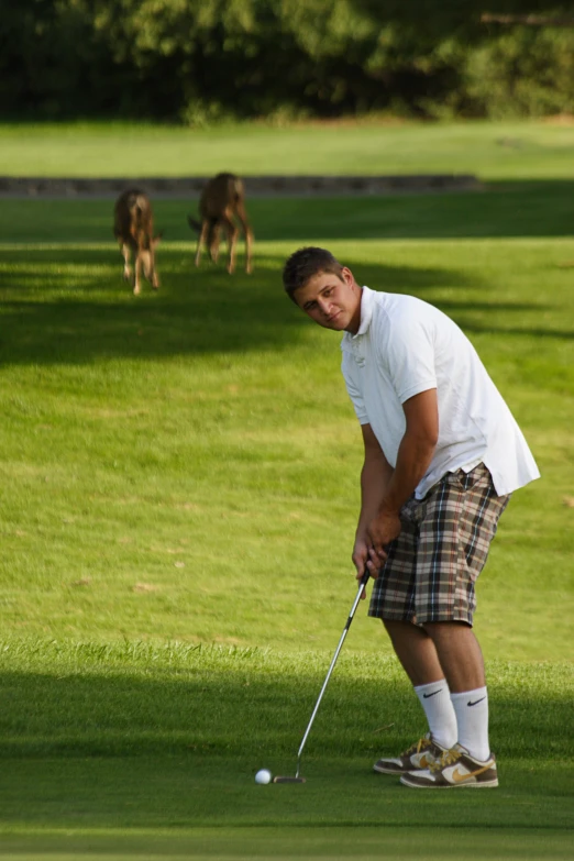 a man in plaid shorts hits a golf ball