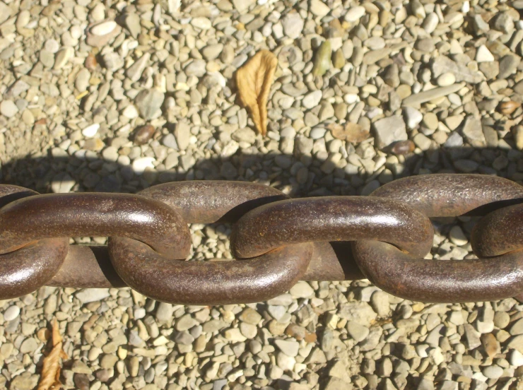 a rusty chain sitting on some rocks near leaves