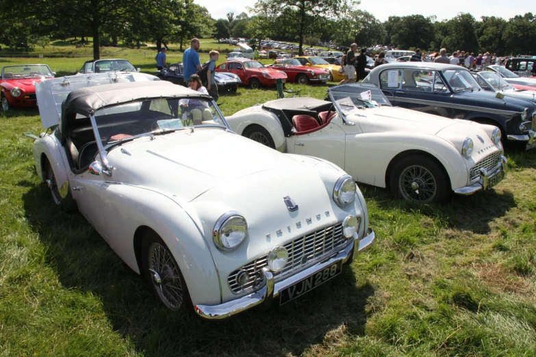 vintage cars parked in a grassy area next to each other