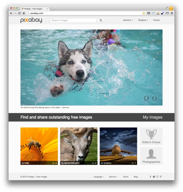 the page is open to show images of animals in water