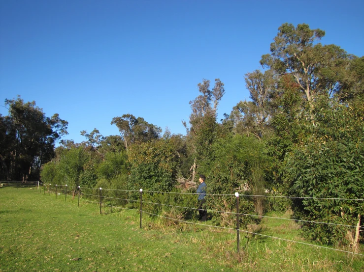 a fence is surrounded by many trees