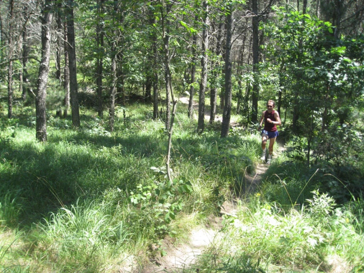 a person walking down a wooded path in the woods