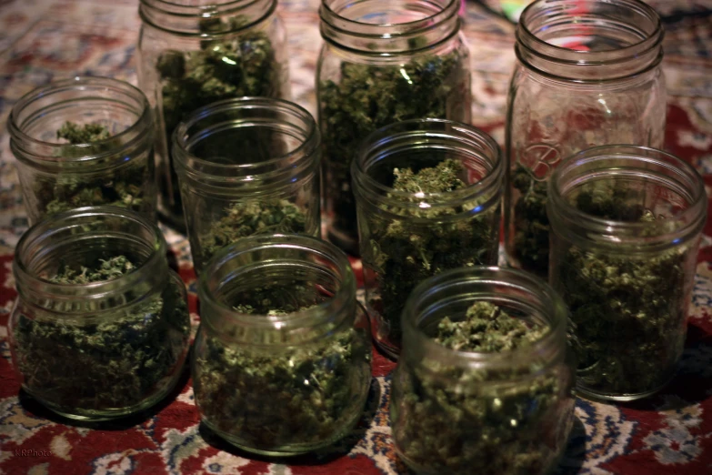 many jars containing marijuana plants are sitting on the table