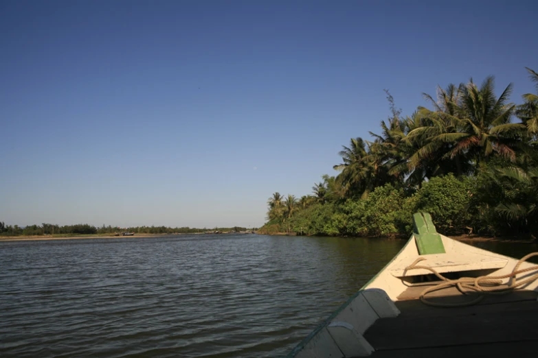 a boat in a body of water near palm trees