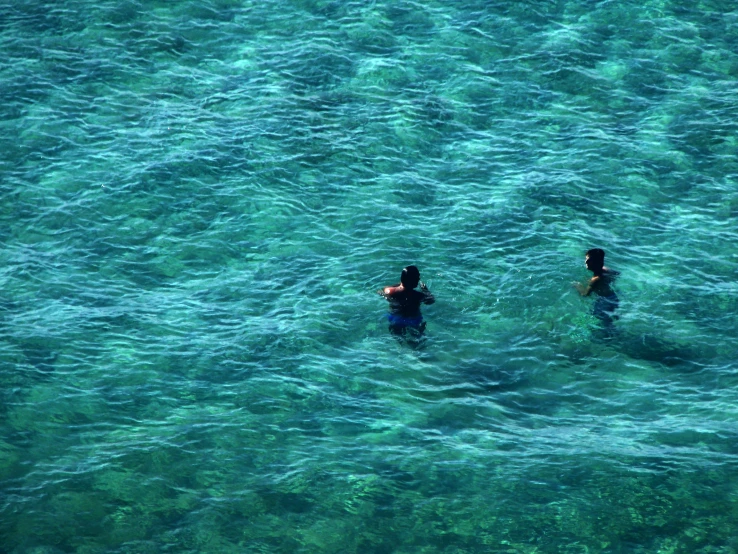 two people in the water swimming together