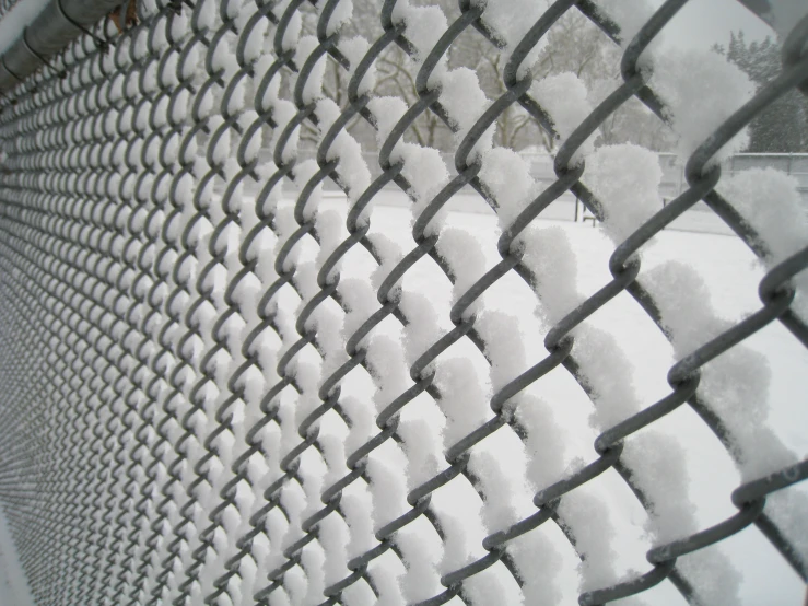 a close up s of a fence, snow and trees