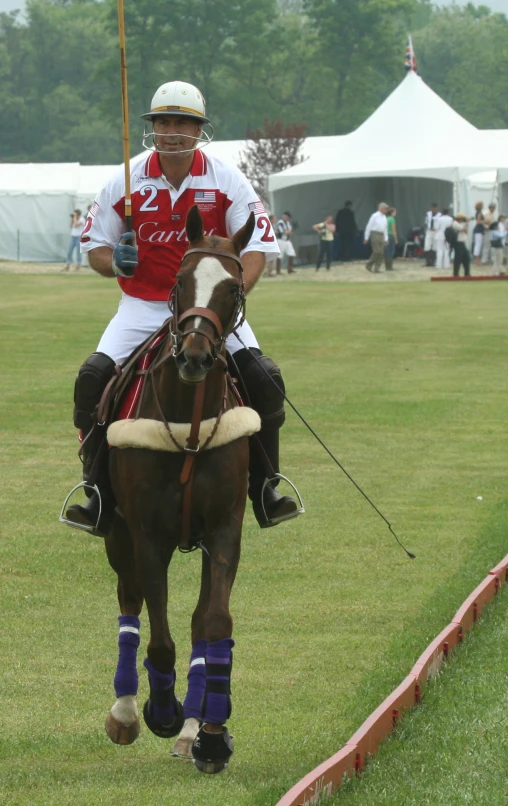 a polo player riding on the back of a brown horse