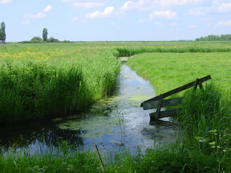 the bench is out in the field by the stream