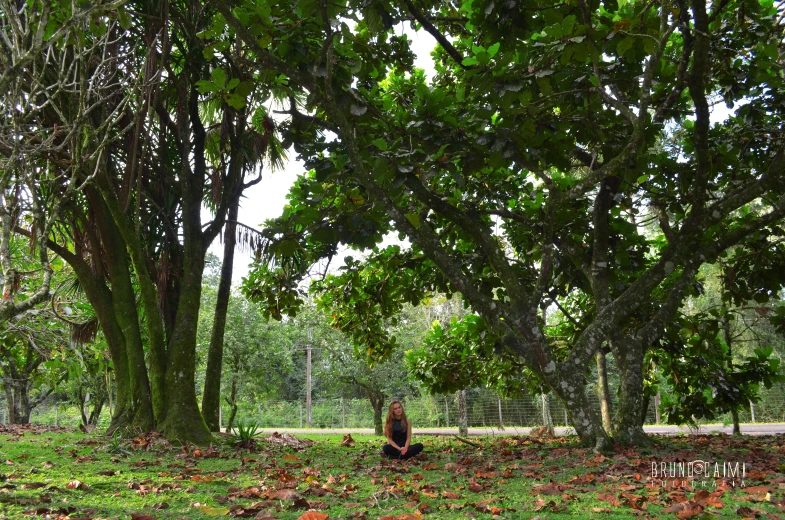 the person is sitting under trees in the grass