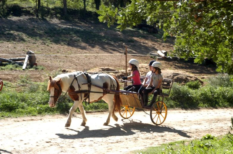 two people riding on the back of a horse carriage