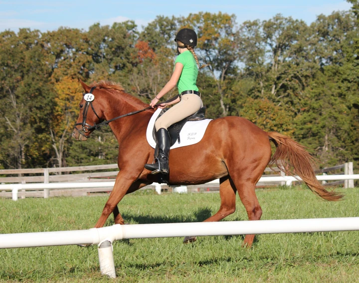 girl riding a brown horse near white fences