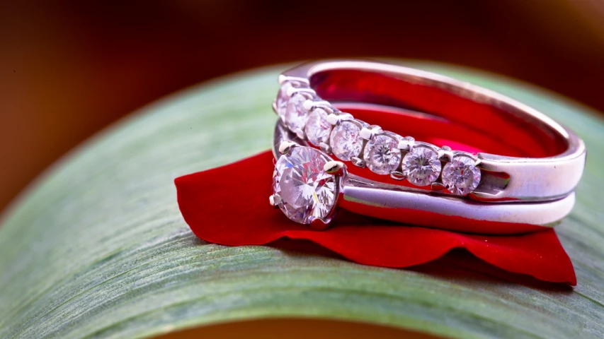 two silver wedding bands are resting on a red rose