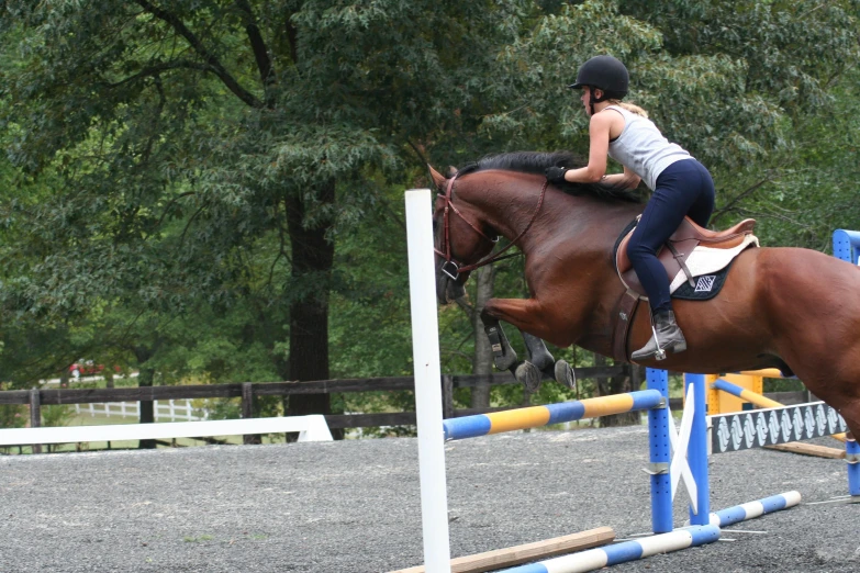 a person that is on a horse jumping over a jump