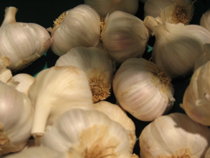 several garlic heads are being held together