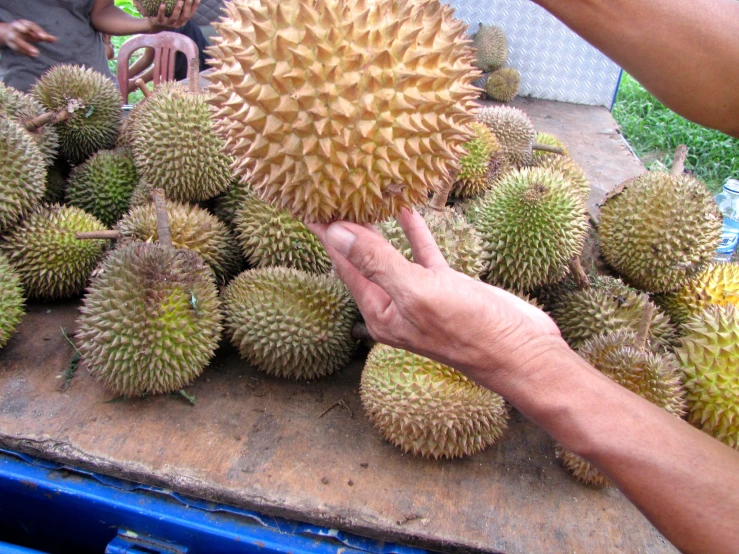 a bunch of durians are stacked up together