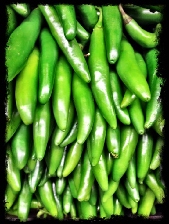 green peppers are piled together in a pile