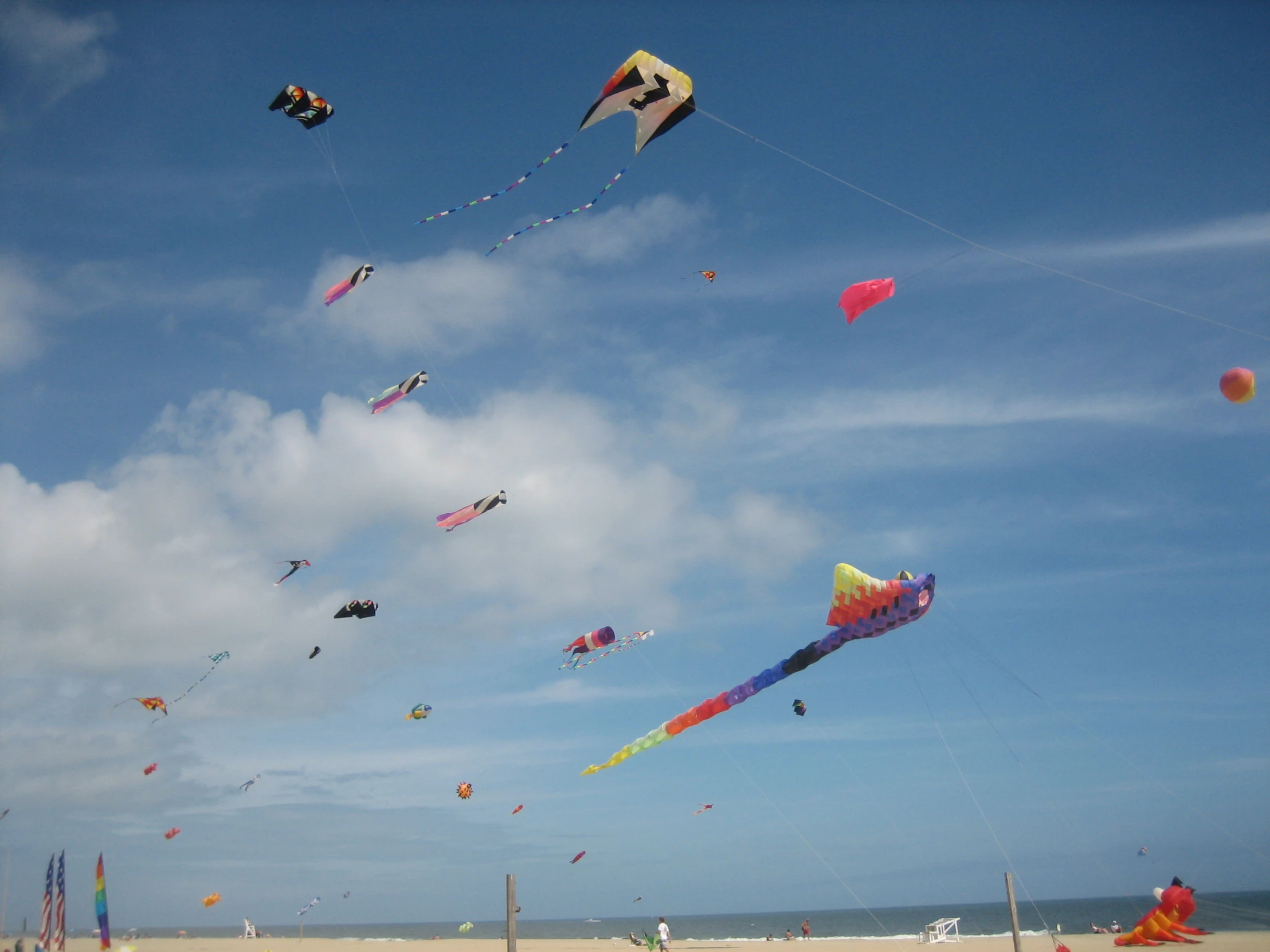 kites flying over the beach in different stages of development