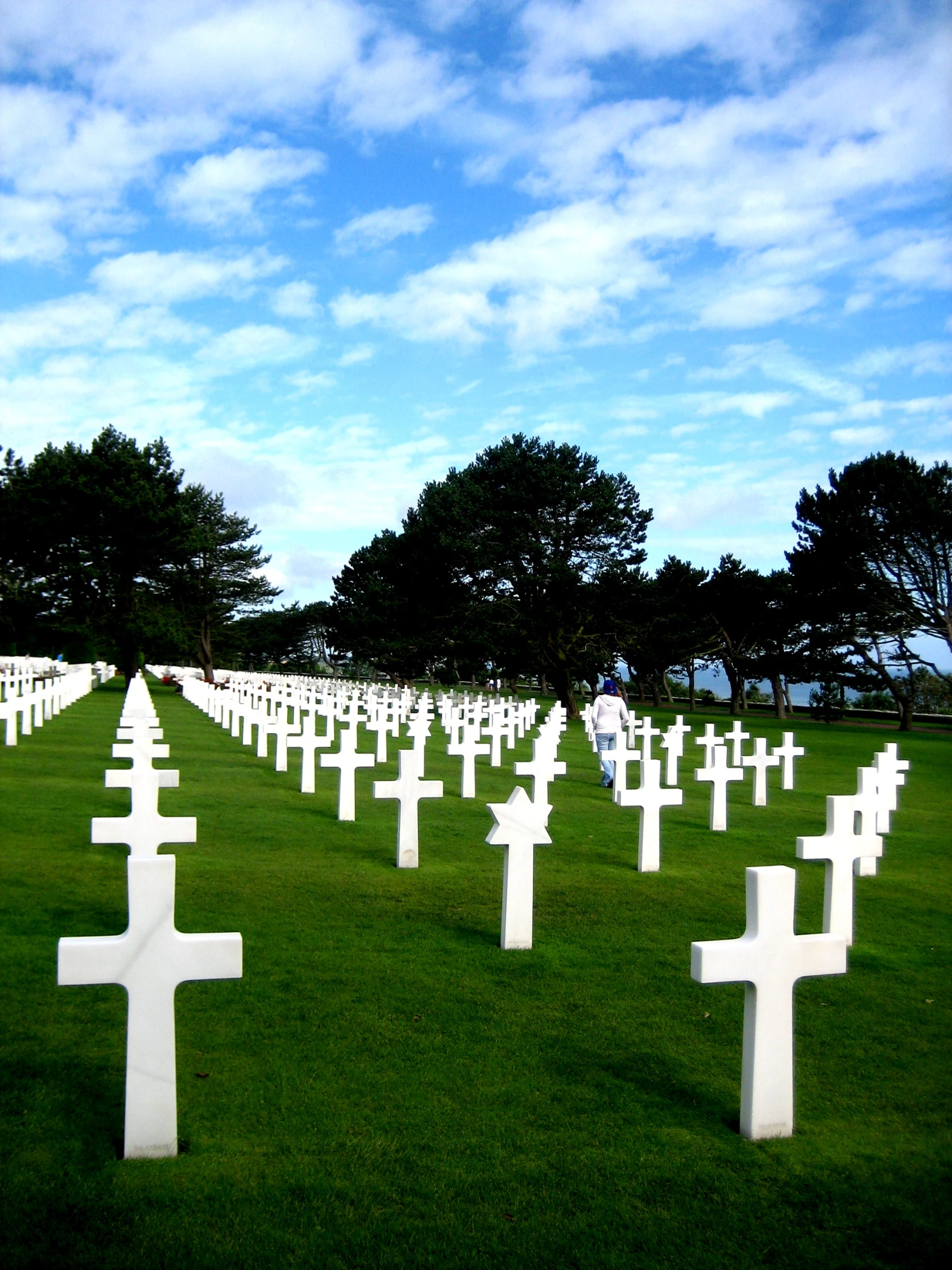 rows of white crosses in the middle of grass