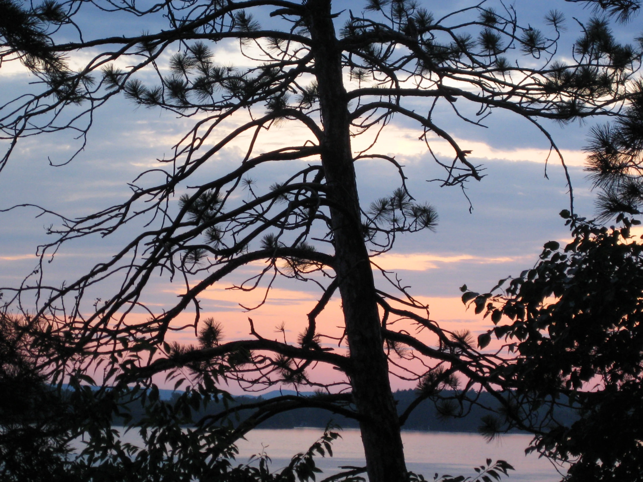 a view of the lake at dusk from the overlook