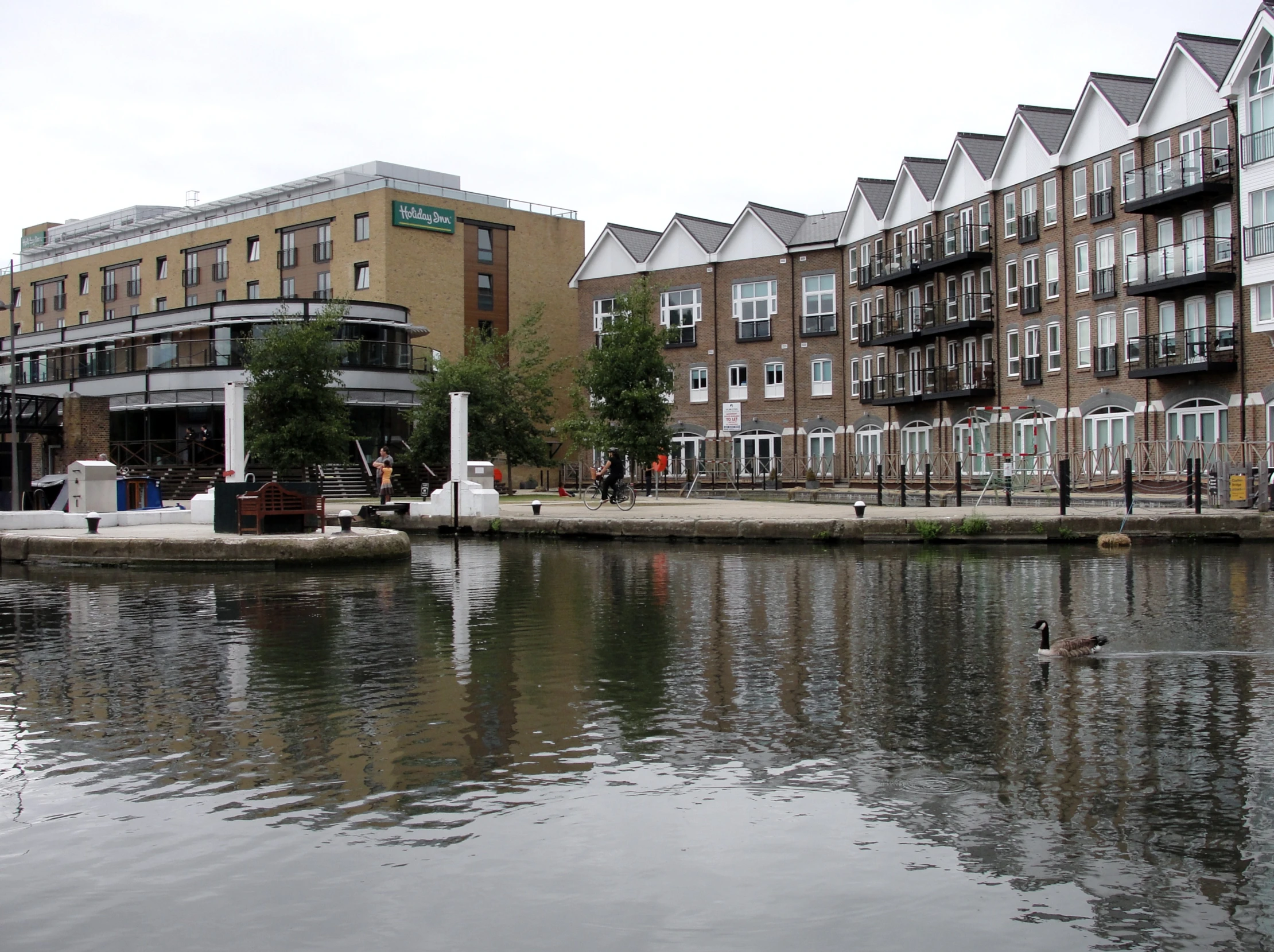 geese swimming on the water in front of an apartment complex