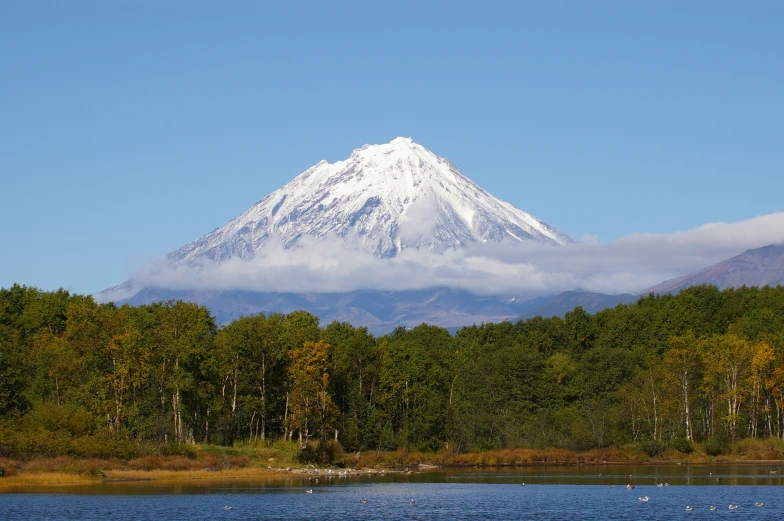 a view of a large mountain with trees in the background