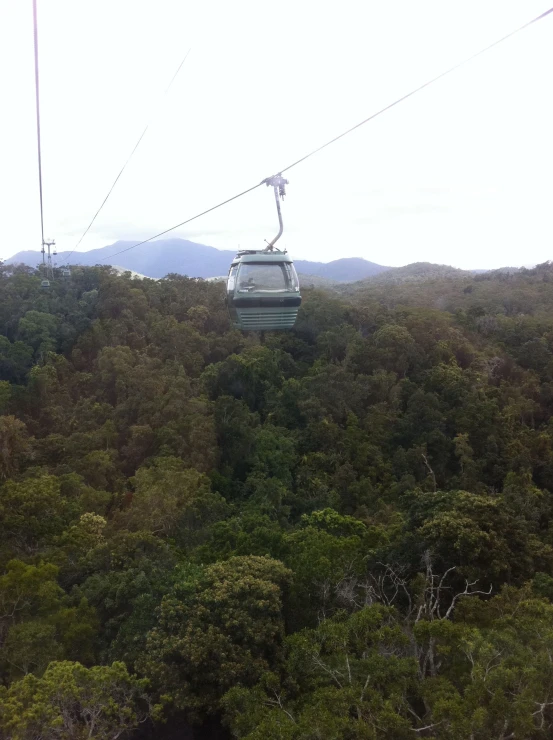 a cable car is on the tree line above some trees