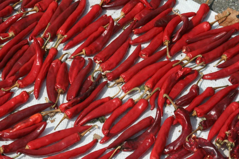 several rows of  red peppers are laying on a white cloth