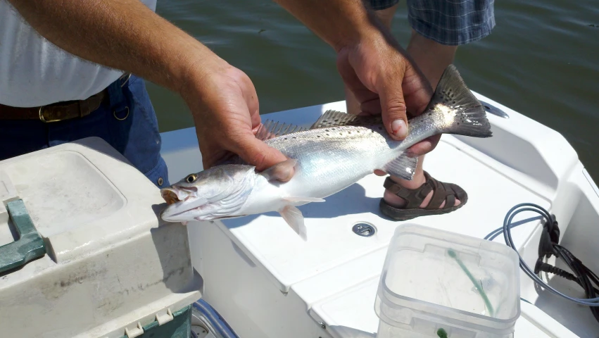 two people on a boat holding fish