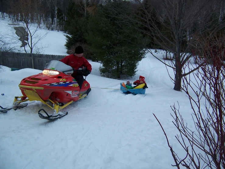 a  in the snow pulling a sled