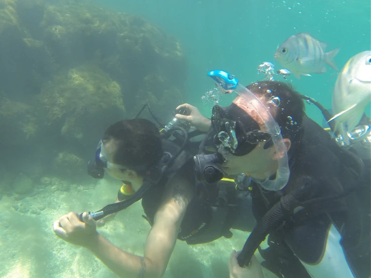 a woman in wetsuit diving in the ocean