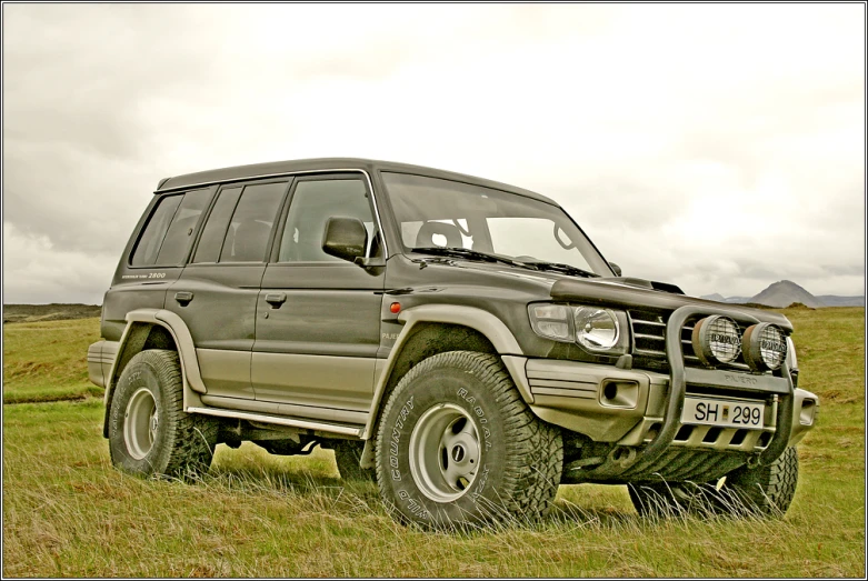 the car is parked in the green grass