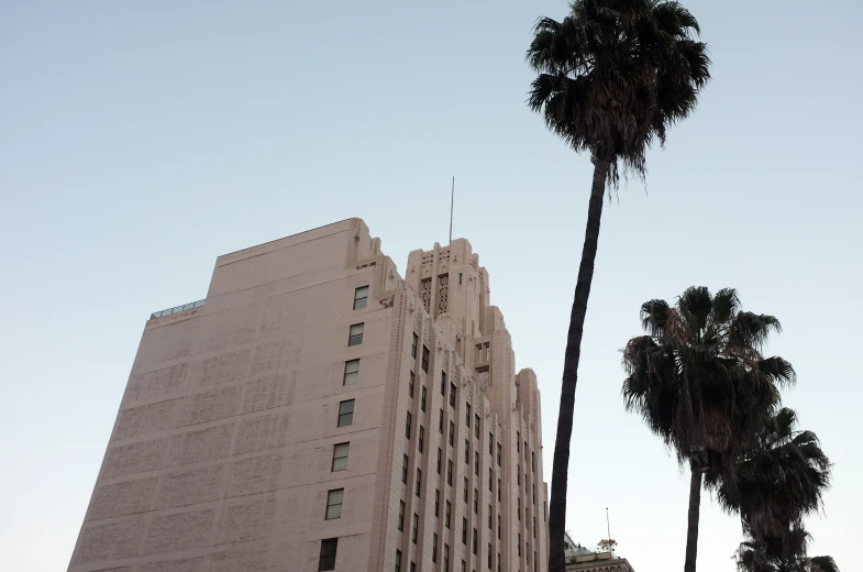 palm trees line the sides of this tall building