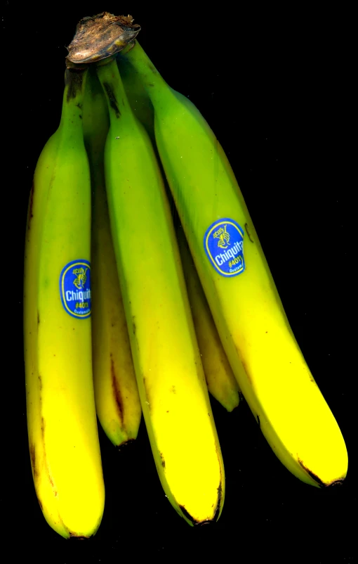 bunches of bananas with blue stamping on them